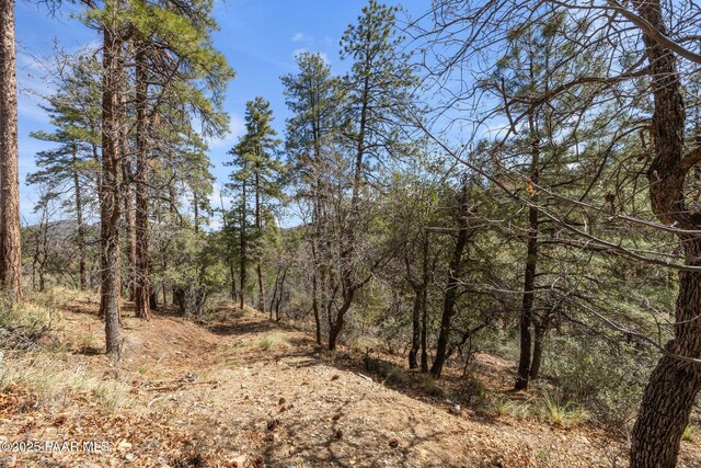 1516 N Holly Dr, Prescott, AZ 86305 - photo 6
