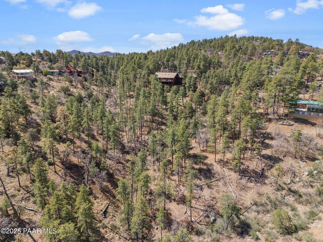 1516 N Holly Dr, Prescott, AZ 86305 - photo 16