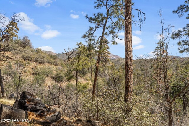 1516 N Holly Dr, Prescott, AZ 86305 - photo 7