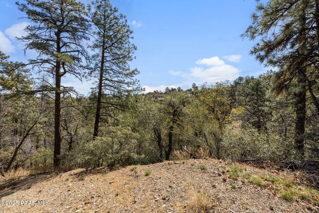 1516 N Holly Dr, Prescott, AZ 86305 - photo 3