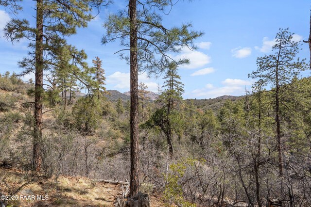 1516 N Holly Dr, Prescott, AZ 86305 - photo 9