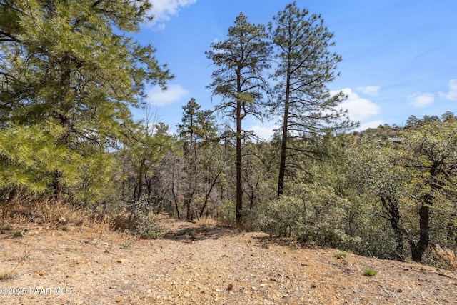 1516 N Holly Dr, Prescott, AZ 86305 - photo 2