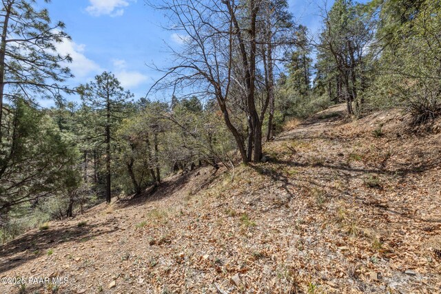1516 N Holly Dr, Prescott, AZ 86305 - photo 4