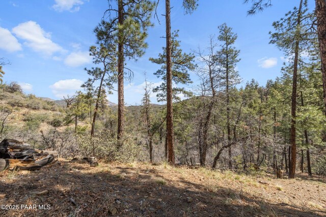 1516 N Holly Dr, Prescott, AZ 86305 - photo 8