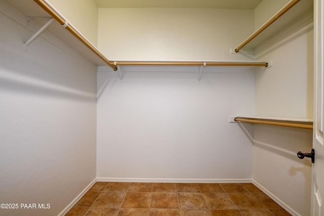 view of walk in closet