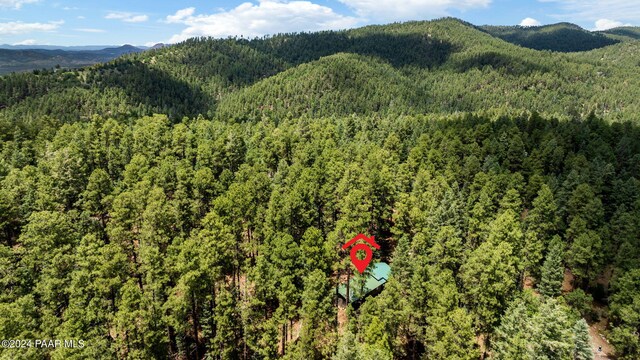 drone / aerial view featuring a mountain view