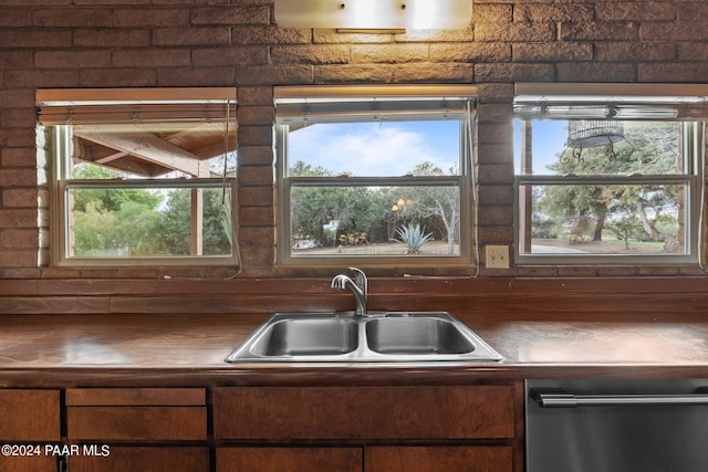 kitchen featuring stainless steel dishwasher, plenty of natural light, and sink