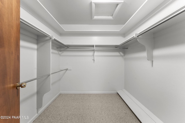 walk in closet featuring carpet