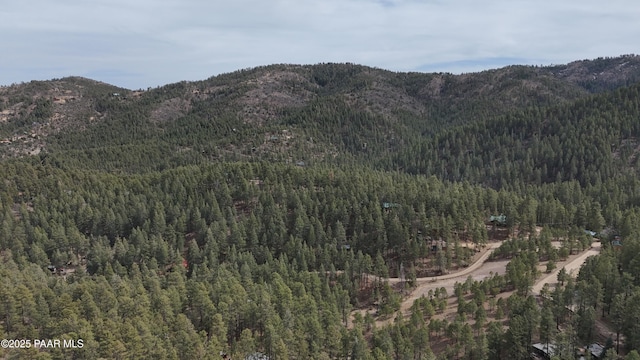 3702 E Pine Mountain Rd, Prescott, AZ 86303 - property view of mountains with a wooded view