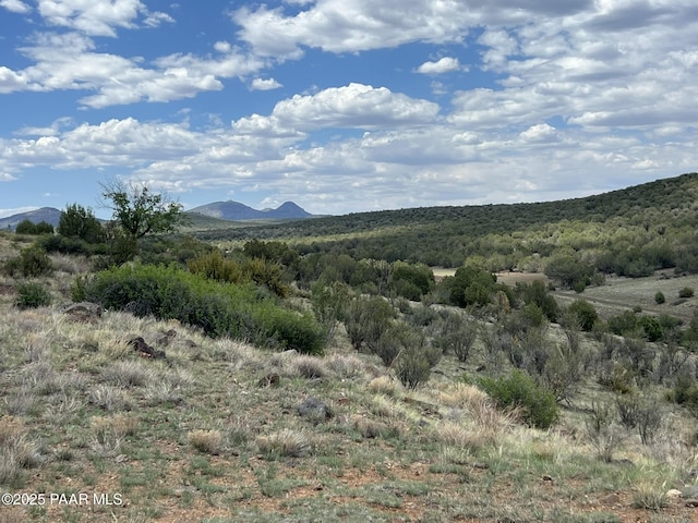 147 Gleed Station Rd, Ash Fork, AZ 86320 - photo 1