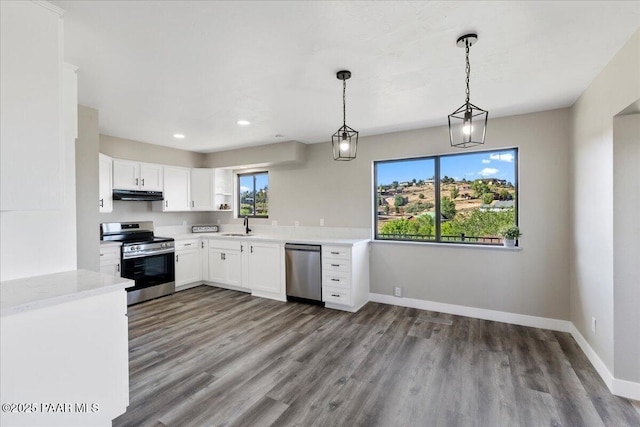 1287 N Lois Dr, Prescott, AZ 86301 - kitchen with appliances with stainless steel finishes, under cabinet range hood, wood finished floors, light countertops, and recessed lighting
