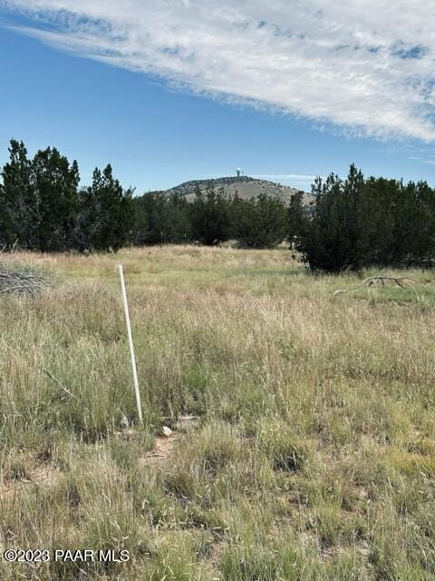 Listing photo 3 for 27145 Fort Rock Rd, Seligman AZ 86337