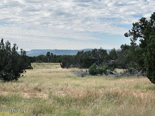 27145 Fort Rock Rd, Seligman AZ, 86337 land for sale