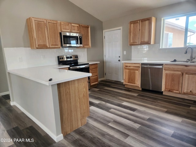 kitchen with appliances with stainless steel finishes, tasteful backsplash, lofted ceiling, sink, and dark wood-type flooring