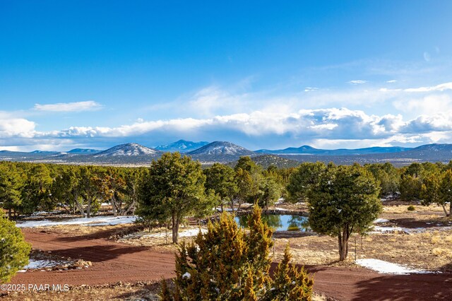 2647 E Vista Pl, Williams, AZ 86046 - photo 46