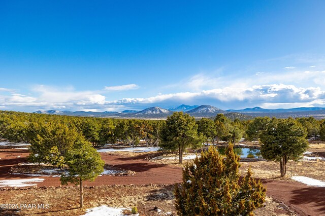 2647 E Vista Pl, Williams, AZ 86046 - photo 64
