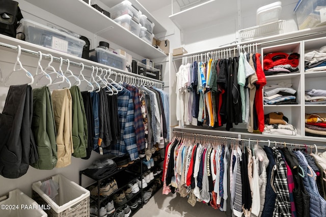 view of spacious closet