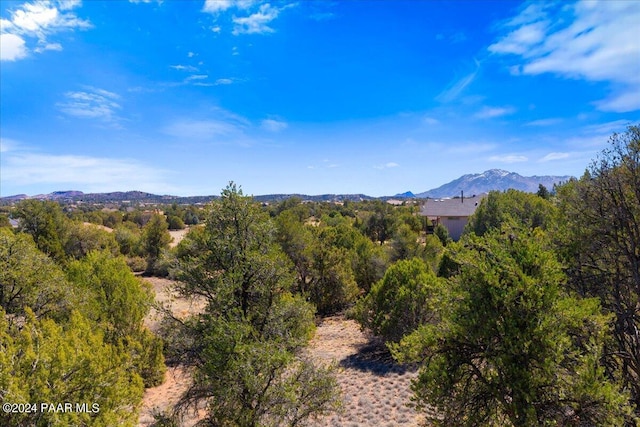 property view of mountains featuring a forest view