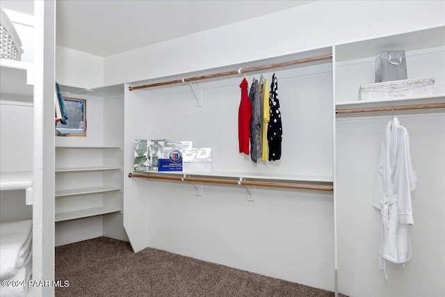 walk in closet featuring carpet