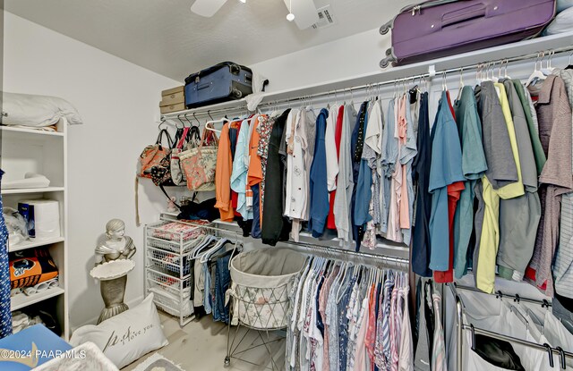 walk in closet featuring wood-type flooring