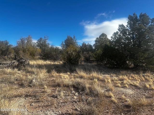 Listing photo 3 for 32292 W Ancho Rd, Seligman AZ 86337