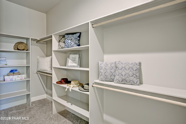 walk in closet with carpet floors