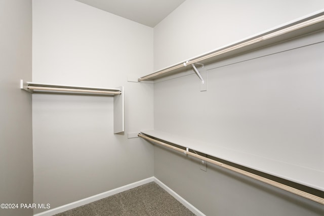 spacious closet with carpet flooring