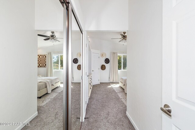 hallway with plenty of natural light, lofted ceiling, and light carpet