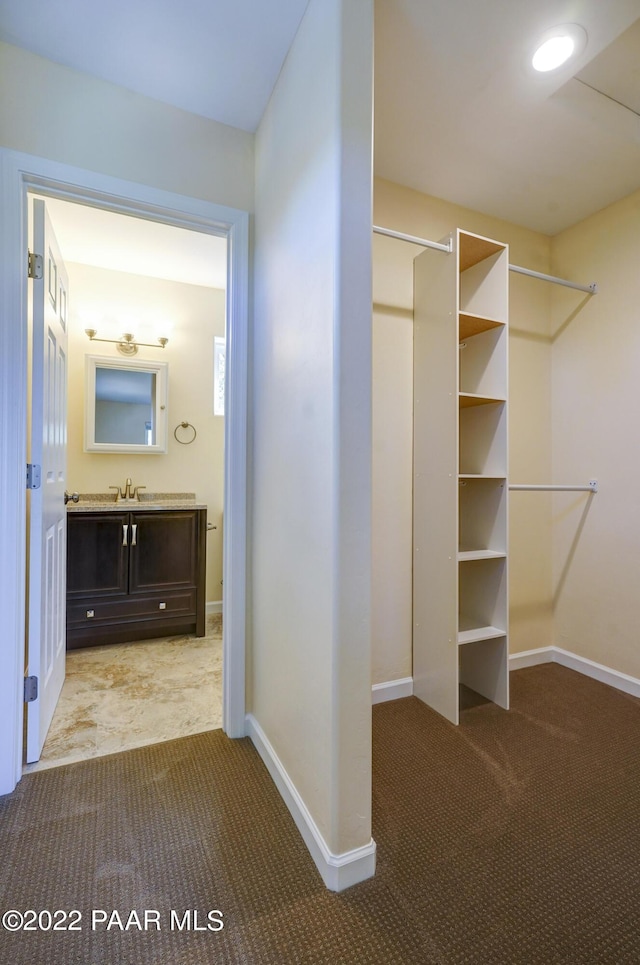 interior space featuring carpet flooring and a sink