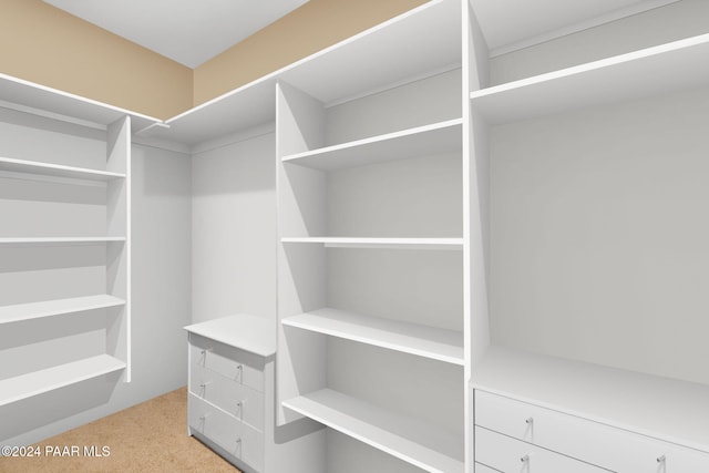 spacious closet featuring light colored carpet