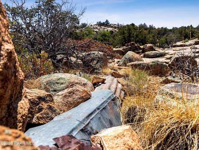 0000 S Monica Mine, Peeples Valley, AZ 86332 - photo 15