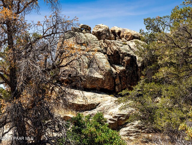 0000 S Monica Mine, Peeples Valley, AZ 86332 - photo 10