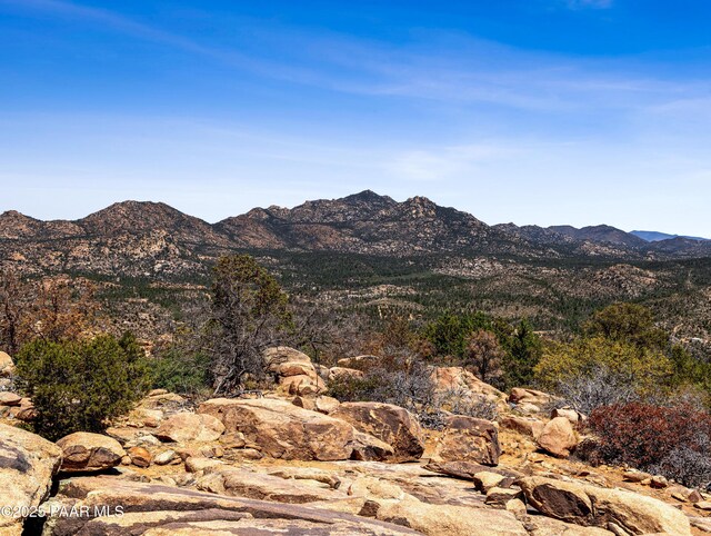 0000 S Monica Mine, Peeples Valley, AZ 86332 - photo 23