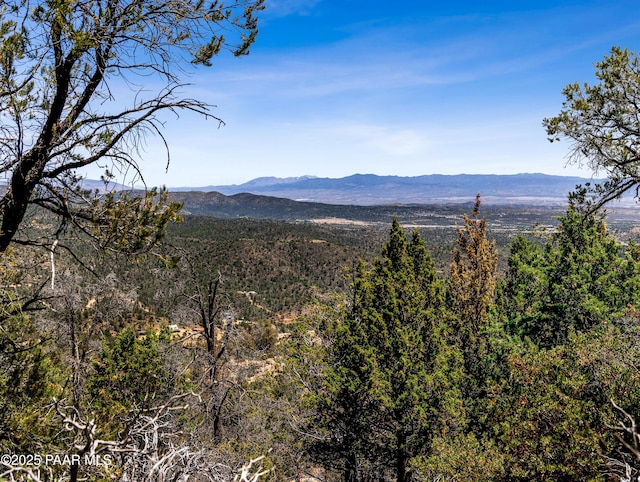 0000 S Monica Mine, Peeples Valley, AZ 86332 - photo 2