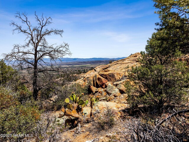 0000 S Monica Mine, Peeples Valley, AZ 86332 - photo 21