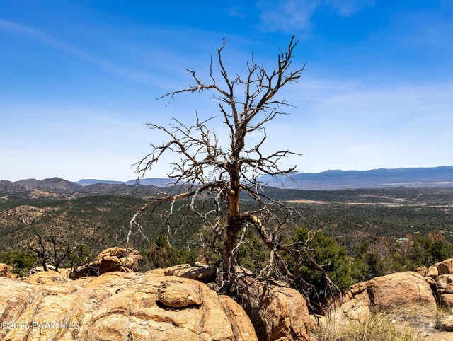 0000 S Monica Mine, Peeples Valley, AZ 86332 - photo 22