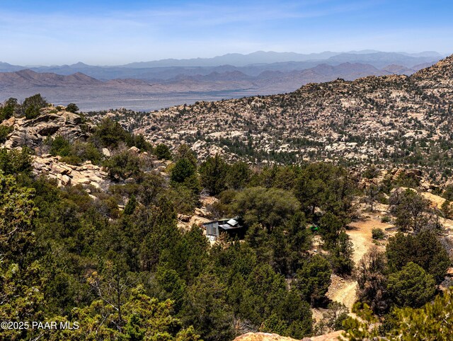 0000 S Monica Mine, Peeples Valley, AZ 86332 - photo 27