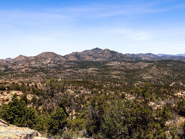 0000 S Monica Mine, Peeples Valley, AZ 86332 - photo 28