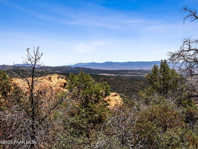 0000 S Monica Mine, Peeples Valley, AZ 86332 - photo 25