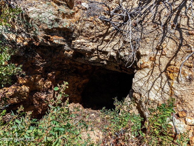 0000 S Monica Mine, Peeples Valley, AZ 86332 - photo 11