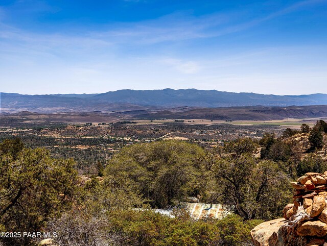 0000 S Monica Mine, Peeples Valley, AZ 86332 - photo 16