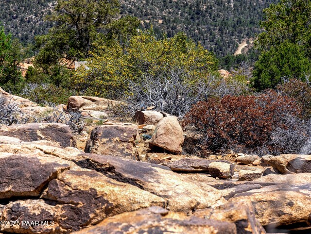 0000 S Monica Mine, Peeples Valley, AZ 86332 - photo 6