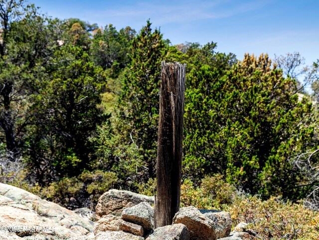 0000 S Monica Mine, Peeples Valley, AZ 86332 - photo 18