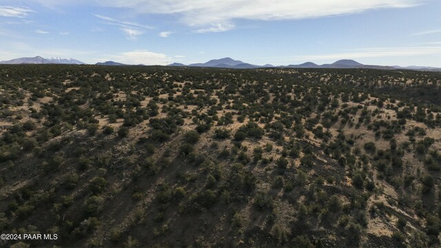 11646 Howard Mesa Loop, Williams, AZ 86046 - photo 11