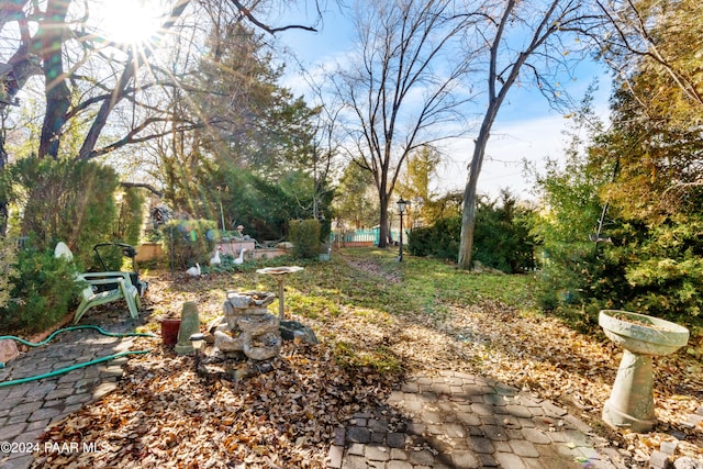 view of yard with a patio