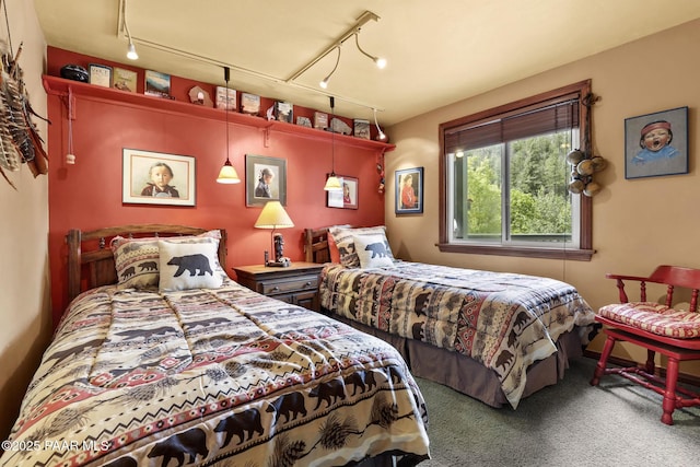 carpeted bedroom with rail lighting