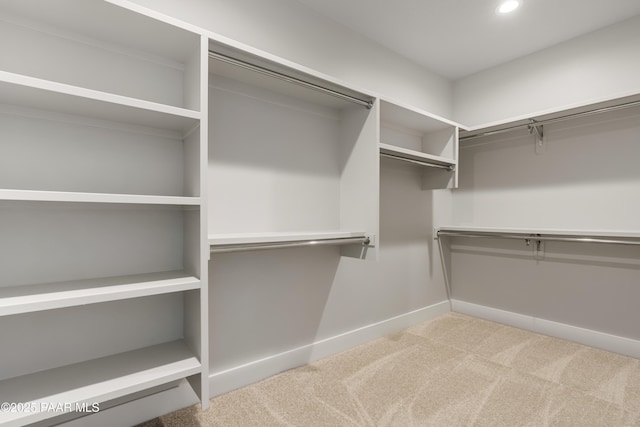 spacious closet with carpet floors