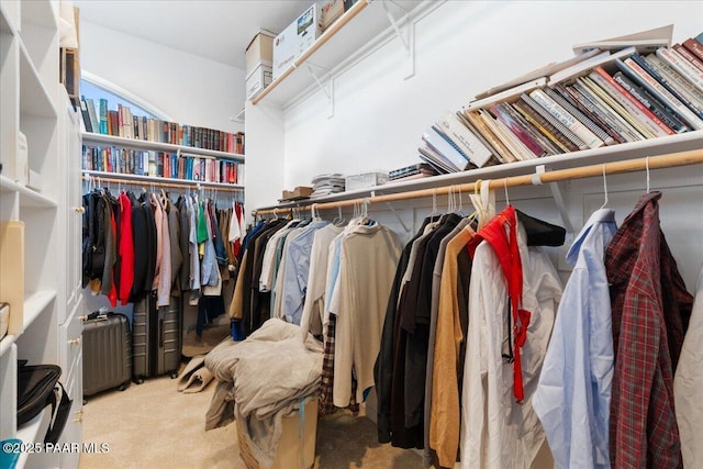 walk in closet with radiator heating unit and carpet