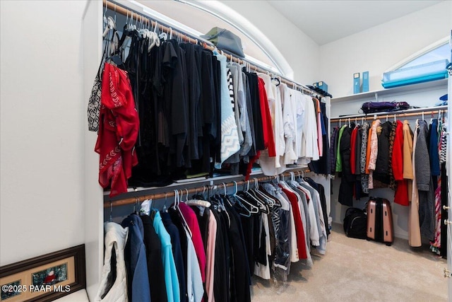 walk in closet featuring carpet flooring