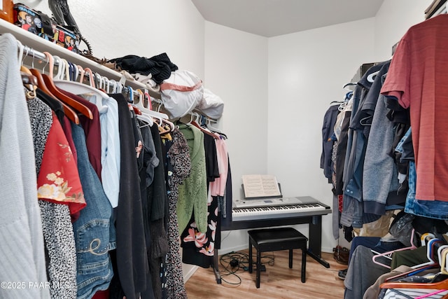 walk in closet with wood finished floors